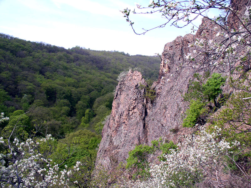 Wildensteiner Tal im Donnersberggebiet